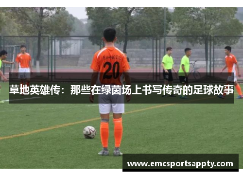 草地英雄传：那些在绿茵场上书写传奇的足球故事