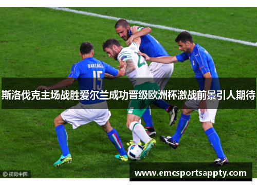 斯洛伐克主场战胜爱尔兰成功晋级欧洲杯激战前景引人期待