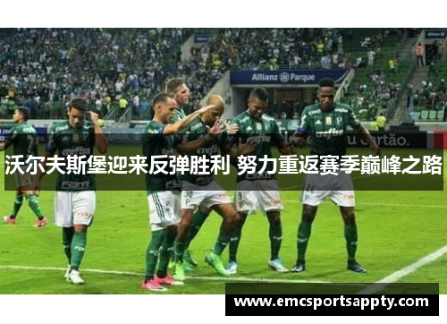 沃尔夫斯堡迎来反弹胜利 努力重返赛季巅峰之路