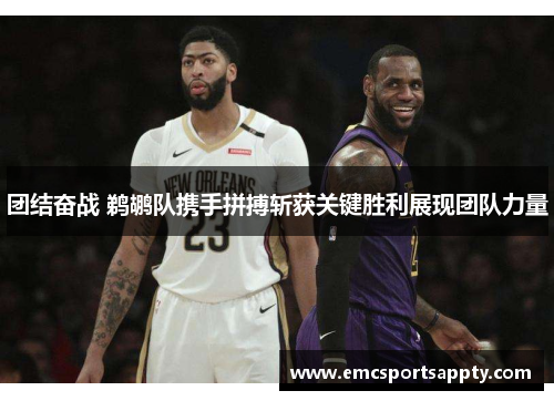 团结奋战 鹈鹕队携手拼搏斩获关键胜利展现团队力量
