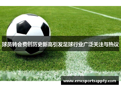 球员转会费创历史新高引发足球行业广泛关注与热议