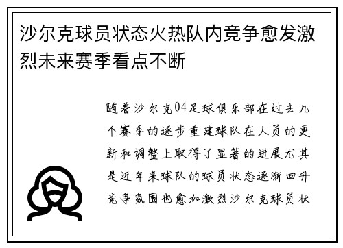 沙尔克球员状态火热队内竞争愈发激烈未来赛季看点不断