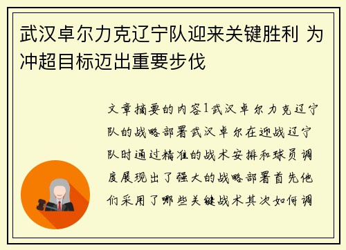 武汉卓尔力克辽宁队迎来关键胜利 为冲超目标迈出重要步伐